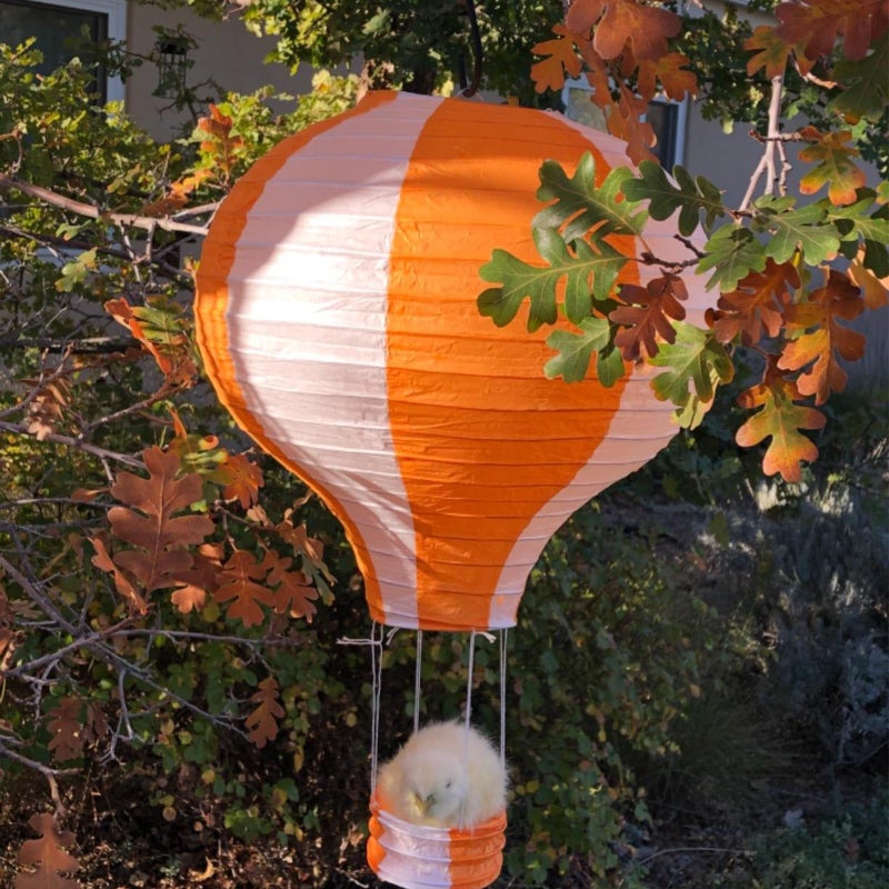 zilue Hot Air Balloon Decorations Paper Lanterns for Wedding Birthday Engagement Christmas Party Decoration Pack Stripe Set of 6 - Image 3